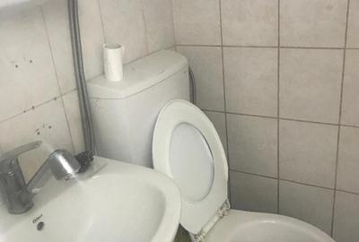 Minigarsoniera centru civic Iasi - 4