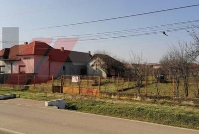 Peciu Nou - Teren Intravilan - 2500 mp - Utilitati - 2