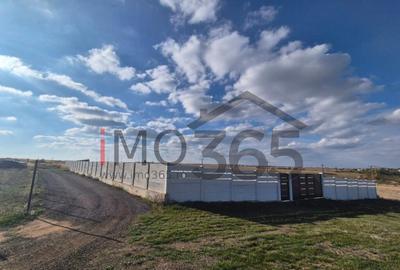 Teren de 1000 mp, în Bradu - 3