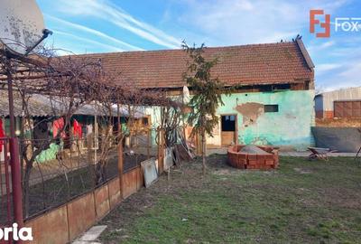 Casă cu 7 camere cu Teren 1458 Mp în Lenauheim - 3