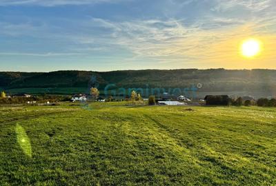 Teren Construcții intravilan de 5487 mp, în Betfia - 1