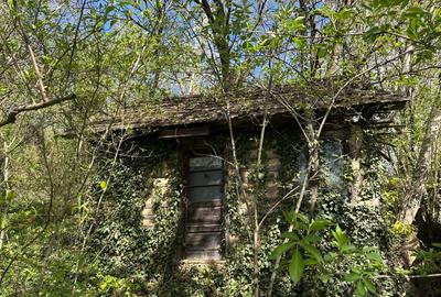 Casă individuală cu 4 camere cu Teren 1300 Mp în Teișani - 4