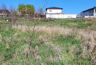 Teren Pantelimon Lac 500mp - 1