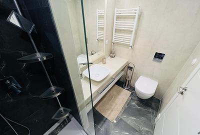 Apartament cu 4 camere decomandat, mobilat în Iancu Nicolae - 42