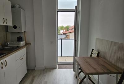 APARTAMENT LUX PARCUL CAROL - 8