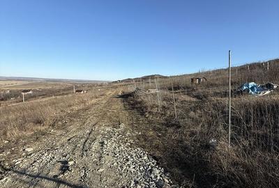 Teren de 400 mp, în Tomești - 4