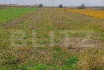 Teren extravilan 2600 mp, Calea Cernauti, Radauti - 4