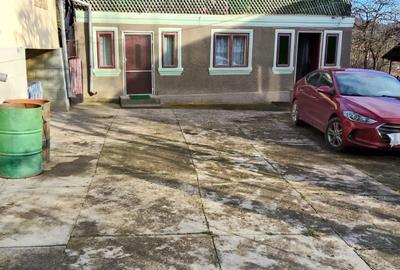 Casă cu 3 camere în Bezdead - 5