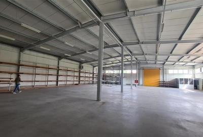 Spațiu industrial, de 1,038 mp, în Ronaț - 1