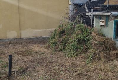 Teren de vanzare in zona Chitila / Bucurestii Noi Teren de vanzare in zona Chitila / Bucurestii Noi - 9