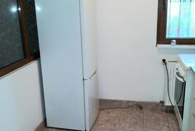 Colentina Rau, Mc Donalds, Mr. Bacila, Parc Plumbuita, stradal - 12