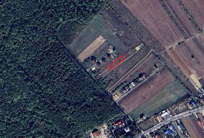 Teren de 1000 mp, în Malu - 2