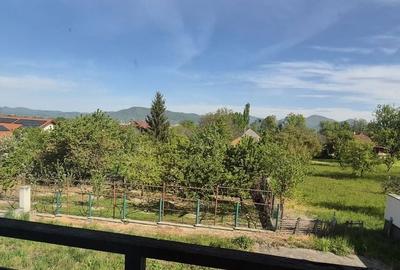 Casă cu 2 camere în Satu Nou de Jos - 14