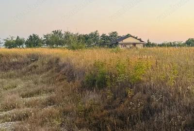 Teren de 6666 mp, în Alioș - 10