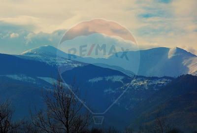 Comision 0 %/ Teren extravilan 3197 mp pitoresc/ Fagaras - 5