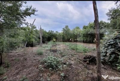 Casă cu 3 camere cu Teren 6869 Mp în Central - 2