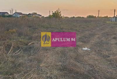 Teren construcție casă - 1 Decembrie - Zona Metropolitană București Teren construcție casă - 1 Decembrie - Zona Metropolitană București - 45