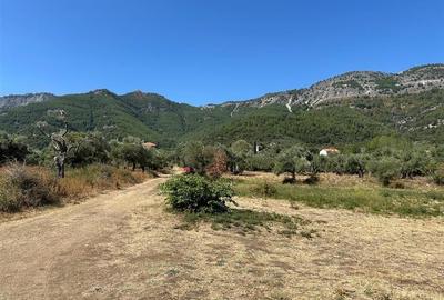 Teren intravilan pe insula Thassos, aproape de plaja salbatica - 17