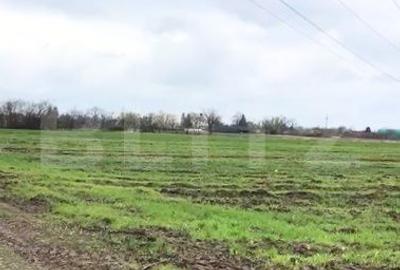 Spațiu comercial, în Sălcuța - 5