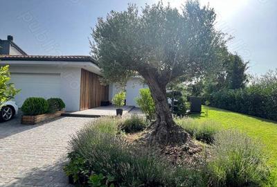 Casă în Sânnicolau Mare - 4