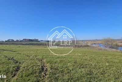 Teren de 646 mp, în Dascălu - 8