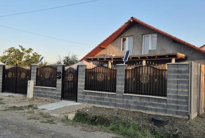 Casa noua Carpinis timis - 1