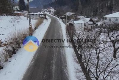 Teren de 2283 mp, în Tarcău - 13