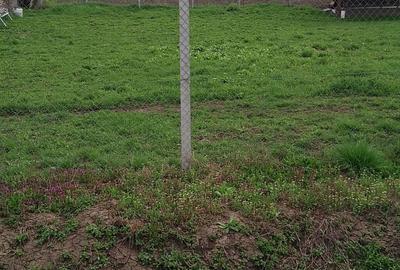 Teren de 3000 mp, în Călărași - 4