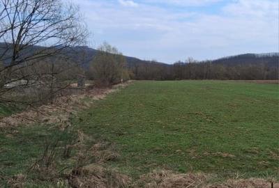 Teren agricol intravilan de 5600 mp, în Romita - 2