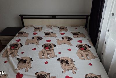 Apartament cu 2 camere decomandat, mobilat în Dacia - 2