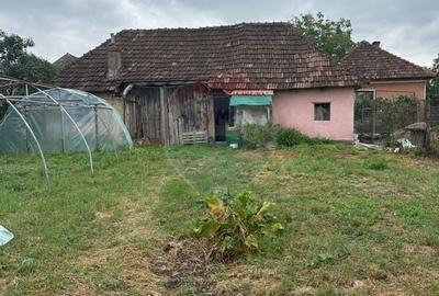 GOSPODARIE VECHE cu 30 arii TEREN- SE VINDE - 3