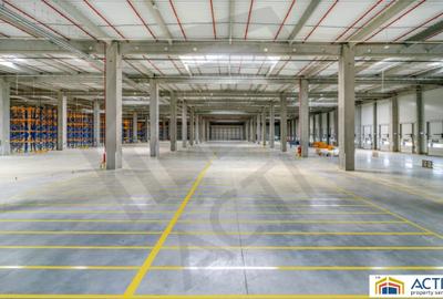 Spațiu industrial, de 671,891 mp, în Bolintin-Deal - 4