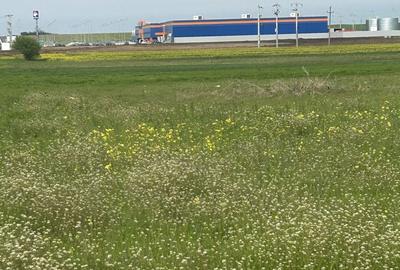 Spațiu comercial, în Central - 5