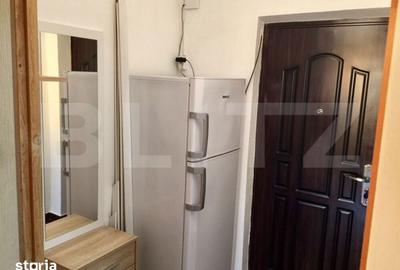 Garsonieră, mobilată în Brazda lui Novac - 2