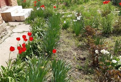 Casă cu 4 camere în Bogata - 5
