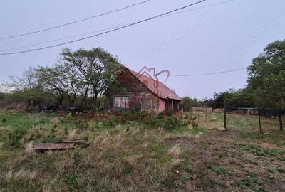 Teren 910 mp cu casa veche Seceani - 30 km de Timi?oara - 6