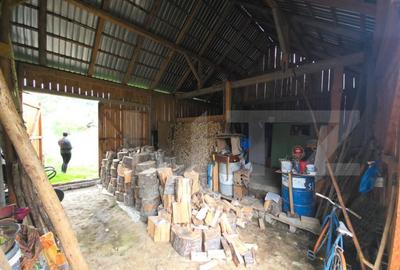 Casa de vanzare, cu 4 camere, 80 mp, satul Dorolea - 2