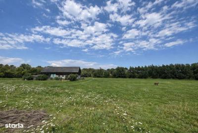 Teren de 3600 mp, în Horodnic - 6