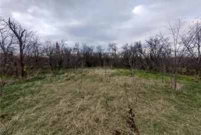 Berliste, Casa pt 2 Familii, la Sosea, Pret Negociabil - 8