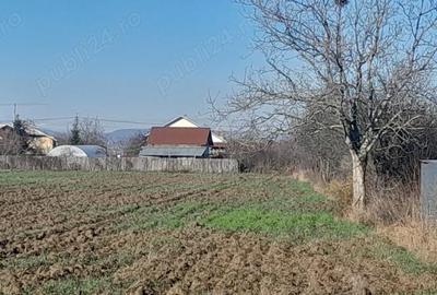 Teren de 7000 mp, în Brătășanca - 5
