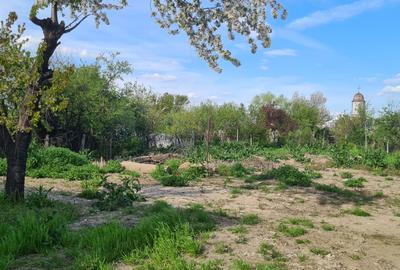 Casă individuală cu 2 camere cu Canalizare în Berceni - 16
