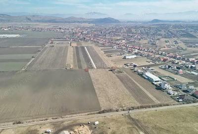 Teren Extravilan, P.U.Z. inceput - 9