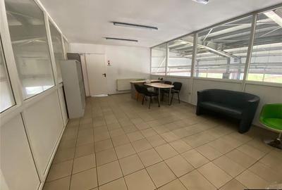 De inchiriat  Spatiu comercial versatil in Radauti (teren 5000 mp) - 15