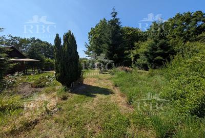 Teren pentru constructie casa in Faget - 6