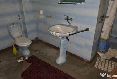 Casă cu 2 camere cu Teren 804 Mp în Gojdu - 1
