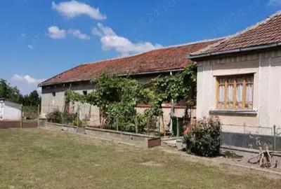 Oportunitate!!! Casa 3 camere, teren 5050 mp, comuna Craidorol?, SM Oportunitate!!! Casa 3 camere, teren 5050 mp, comuna Craidorol?, SM - 5