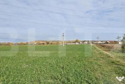 Teren de 1400 mp, în Răzvad - 3
