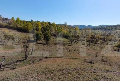 Teren de 7382 mp, în Central - 8