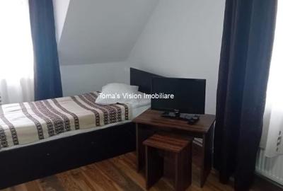 Vanzari Case / vile - 18