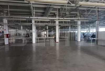 Cladire birouri , hala de productie, spatii depozitare, parc - 1